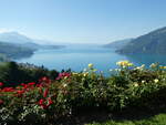 (254'820) - Der Thunersee am 5.
