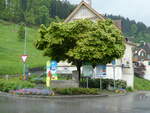 (250'106) - Baum und Brunnen am 16.