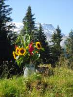 (135'380) - Sch�ner Bergblumenstrauss in der Milchkanne auf der Alp Laueli bei Adelboden am 1.