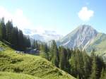 (135'382) - Auf der Alp Laueli bei Adelboden am 1.