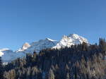 (178'025) - Der Lohner mit Wald am 9.