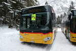 (283'962) - Wyss, Boningen - Nr. 73/SO 107'274/PID 11'702 - Mercedes am 10. Januar 2026 in Adelboden, Unter dem Birg