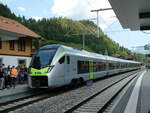 (250'665) - BLS-MIKA-Pendelzug - Nr.