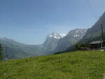 (237'224) - Das Wetterhorn am 18.