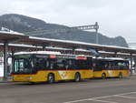 (223'443) - PostAuto Bern - BE 489'810 - Mercedes (ex Portenier, Adelboden Nr.