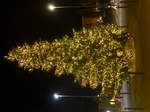(176'825) - Weihnachtsbaum am 3.