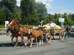 (134'613) -  Vehfreudiger  Emmentaler & K�ser am 2.
