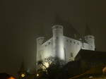 (177'232) - Das Schloss Thun am 16.
