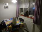 (214'178) - Katze Nimerya und Kater Shaggy in der K�che am 12.
