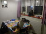 (214'179) - Katze Nimerya und Kater Shaggy in der K�che am 12.