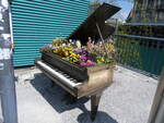 (273'775) - Fl�gel mit Blumen am 9. April 2025 beim Guisanplatz in Thun
