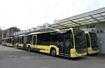 (282'251) - STI Thun - Nr. 704/BE 434'704 - Mercedes am 9. November 2025 in Thun, Garage