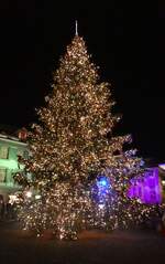 (282'397) - Weihnachtsbaum am 14.