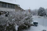 (282'504) - Neuschnee am 11. November 2025 in Thun-Lerchenfeld