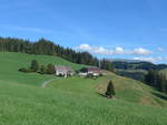 (196'216) - Aussicht am 26.
