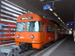 (203'499) - RBS-Pendelzug - Nr.