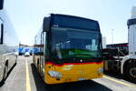 (287'321) - PostAuto Bern - Nr. 14/BE 669'367/PID 10'120 - Mercedes (ex Thepra, Stans Nr. 20) am 25. Mai 2026 in Kerzers, Interbus