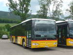 (216'952) - CarPostal - JU 31'024 - Mercedes (ex Nr.