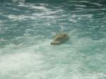 (133'780) - Ein Boot am Rheinfall am 23.