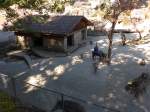 (164'349) - F�tterung der Wildschweine am 31.