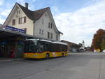 (222'436) - PostAuto Ostschweiz - SG 445'301 - Mercedes am 22.