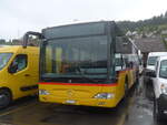 (228'160) - PostAuto Ostschweiz - SG 304'011 - Mercedes (ex TG 158'012) am 19.