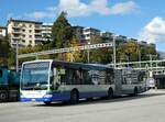 (242'900) - TPL Lugano - Nr.