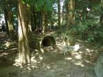 (145'767) - Polarfuchs im ZOO von Servion am 16.
