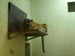 (145'788) - Tigerf�tterung im ZOO von Servion am 16. Juli 2013