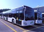 (277'568) - Maag, Kloten - Nr. 40/ZH 479'640 - Mercedes am 5. Juli 2025 in Winterthur, Daimler Buses