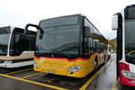 (281'816) - PostAuto Ostschweiz - TG 158'040/PID 11'234 - Mercedes am 25. Oktober 2025 in Winterthur, Daimler Buses