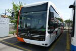 (286'686) - Globe-Limo, Le Lignon .