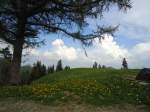 (133'513) - Hinterarnialp am 30.