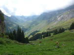 (195'977) - Ausblick vom Rycheb�rgli am 28.