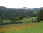 (254'254) - Am Lauenensee am 26.