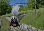  Nostalgie & Vapeur 2021  /  Nostalgie & Dampf 2021  - so das Thema des diesjährigen Pfingstfestivals der Blonay-Chamby Bahn.