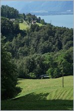 Ein Bahnsuchbild, welches eher dazu dient die Streckenführung der Blonay-Chamby Bahn zu zeigen.