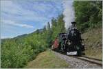 Die Blonay-Chamby BFD HG 3/4 N° 3 ist mit einem Reisezug zwischen Chaulin und Cahmby unterwegs.