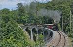 Und zum Schluss die frisch revidierte BFD HG 3/4 N° 3 mit dem langen Reisezug.