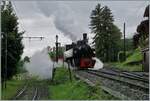 Frisch bekohlt und mit Wasser versorgt dampft die SEG G 2x 2/2 105 der Blonay-Chamby Bahn von der Lokbehandlung zurück in den Museumsbahnhof Chaulin

22. Juni 2024 