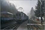 La DER de la Saison 2024! Ungewohnt mysthisch zeigt sich der Bahnhof von Chaulin whrend die  LLB ABFe 2/4 10 der Blonay-Chamby Bahn ihren Zug nach in Blonay bereit stellt. 

27. Okt. 2024