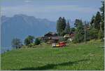 Ein kleiner Zug auf grosser Fahrt: Der RhB Bernina Bahn ABe 4/4 I N° 35 der Blonay Chamby Bahn ist mit dem Bernina Bahn As2 und dem MOB B4 N° 61 (beide auch Blonay-Chamby) als  Valrose Nostalgie Express  kurz vor Les Avants auf der Fahrt von Montreux nach Rougemont. Diese Bildvariante zeigt bewusst sehr viel Landschaft und nur einen sehr kleinen Zug.

15. Juni 2025