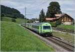 Ein aus EW III formierter BLS RE von Zweisimmen nach Interlaken Ost fährt in FAuelnsee durch.