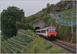 Impressionen vom nicht so gelungenen ersten  Umleitungswochenende  über die  Train des Vignes  Strecke infolge baubedingter Streckensperrung Vevey- Lausanne.