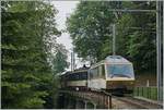 Der GoldenPass MOB Panoramic Zweisimmen - Montreux PE 2111 mit dem Ast 152 an der Spitze, der GDe 4/4 6004  Interlaken  als Zug-Lok und dem Ast 116 am Zugschluss zeigt sich kurz vor nach