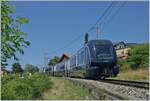 Der vierteiligen GPX 4078 von Montreux nach Zweisimmen mit kaum zu erkennendne der Ge 4/4 8002 an de Spitze ist von Montreux nach Zweisimmen bei Planchamp unterwegs.