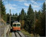 Kurz vor Mrren teilen sich Bahn und Wanderweg den beschrnkten Platz am Hang.