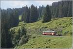 Der BLM Be 4/4 31  Lisi  ist mit seine Vorstellewagen kurz vor Winteregg auf dem Weg nach Grütschalp. 


8. Aug. 2024
