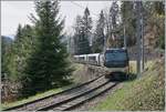 Die MOB Ge 4/4 8002 ist kurz vor Sendy-Sollard mit dem Goldenpass Express GPX 4065 von Interlaken Ost nach Montreux unterwegs.