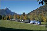 Zwischen Schönried und Gruben konnte ich den MOB/BLS GoldenPass Express PE 4068 auf der Fahrt von Interlaken Ost nach Montreux kurz nach Schönried fotografieren.
Da bei allen GPX Zügen auf dem Schmalspurabschnitt die Lok jeweils Seite Zweisimmen eingereiht ist, hoffte ich bei den Schleifen oberhalb von Gstaad eine passende Fotostelle zu finden, stellte aber fest, dass dies gar nicht so einfach war. 
Zudem sind durch den straken Besucherandrang verständlicherweise viel Wege oder Zugänge gesperrt.     
13. Oktober 2025 Zwischen Schönried und Gruben konnte ich den MOB/BLS GoldenPass Express PE 4068 auf der Fahrt von Interlaken Ost nach Montreux kurz nach Schönried fotografieren.
Da bei allen GPX Zügen auf dem Schmalspurabschnitt die Lok jeweils Seite Zweisimmen eingereiht ist, hoffte ich bei den Schleifen oberhalb von Gstaad eine passende Fotostelle zu finden, stellte aber fest, dass dies gar nicht so einfach war. 
Zudem sind durch den straken Besucherandrang verständlicherweise viel Wege oder Zugänge gesperrt.     
13. Oktober 2025